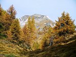 Salita a Cima Bles (m 2820) in alta Val Camonica da Canè il 15 ottobre 08 - FOTOGALLERY